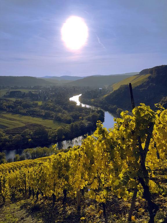 Haus Sonnenschein Daire Wiltingen Dış mekan fotoğraf