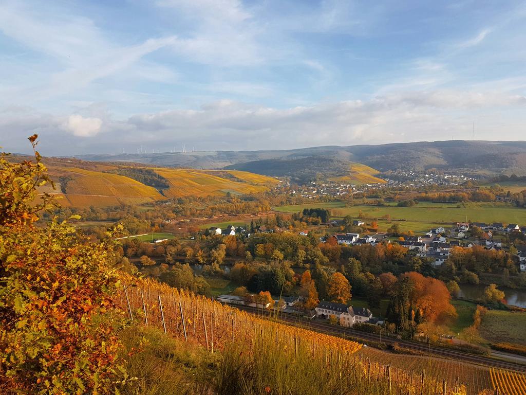 Haus Sonnenschein Daire Wiltingen Dış mekan fotoğraf